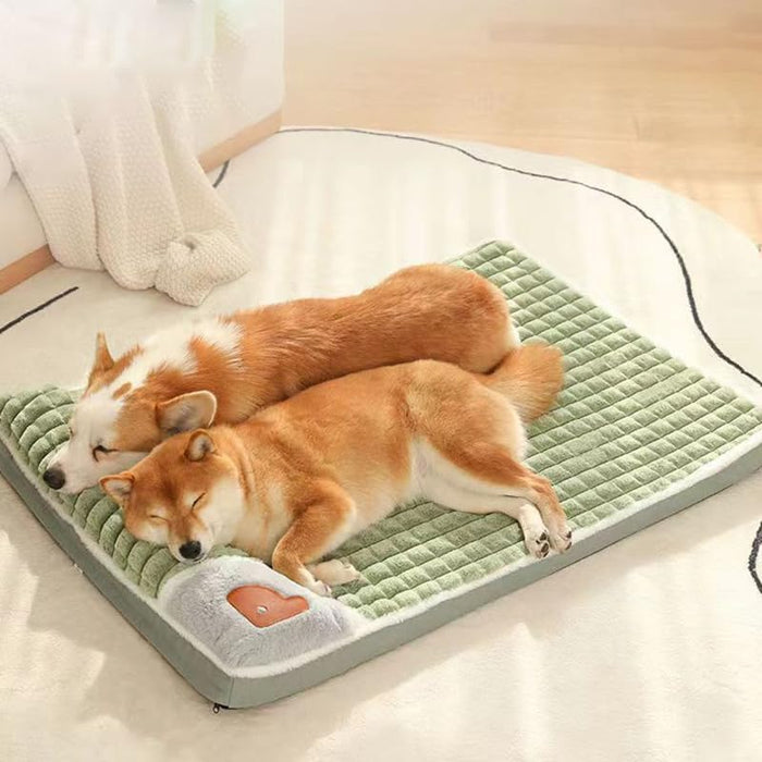 愛犬が自ら寝たがる！カバーが洗えておしゃれなワンちゃん用ベッド