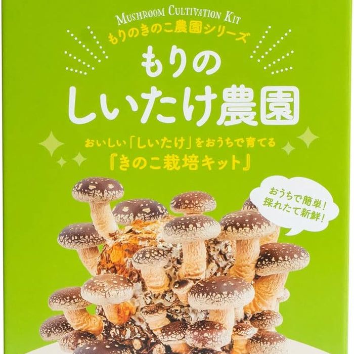 家庭菜園はムリだと思ってた私がハマった。子どもと楽しめる室内しいたけ栽培