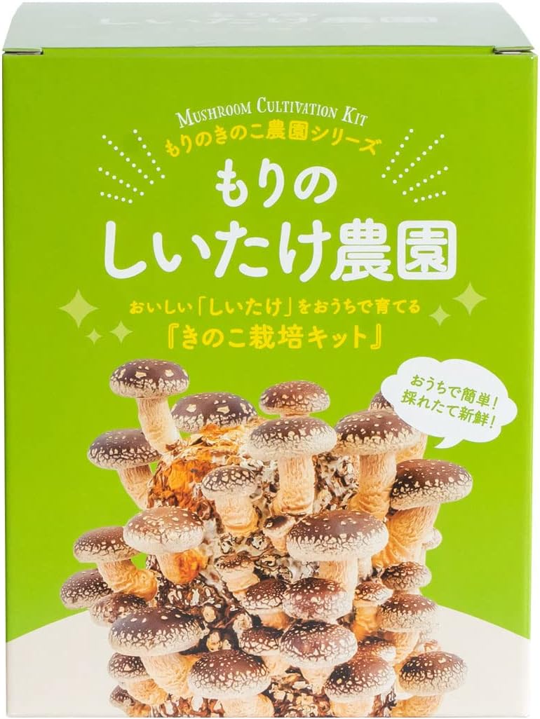 家庭菜園はムリだと思ってた私がハマった。子どもと楽しめる室内しいたけ栽培